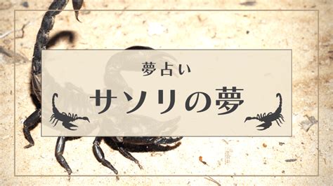 夢占い さそり|【夢占い】サソリの夢の意味・夢診断26選！刺され。